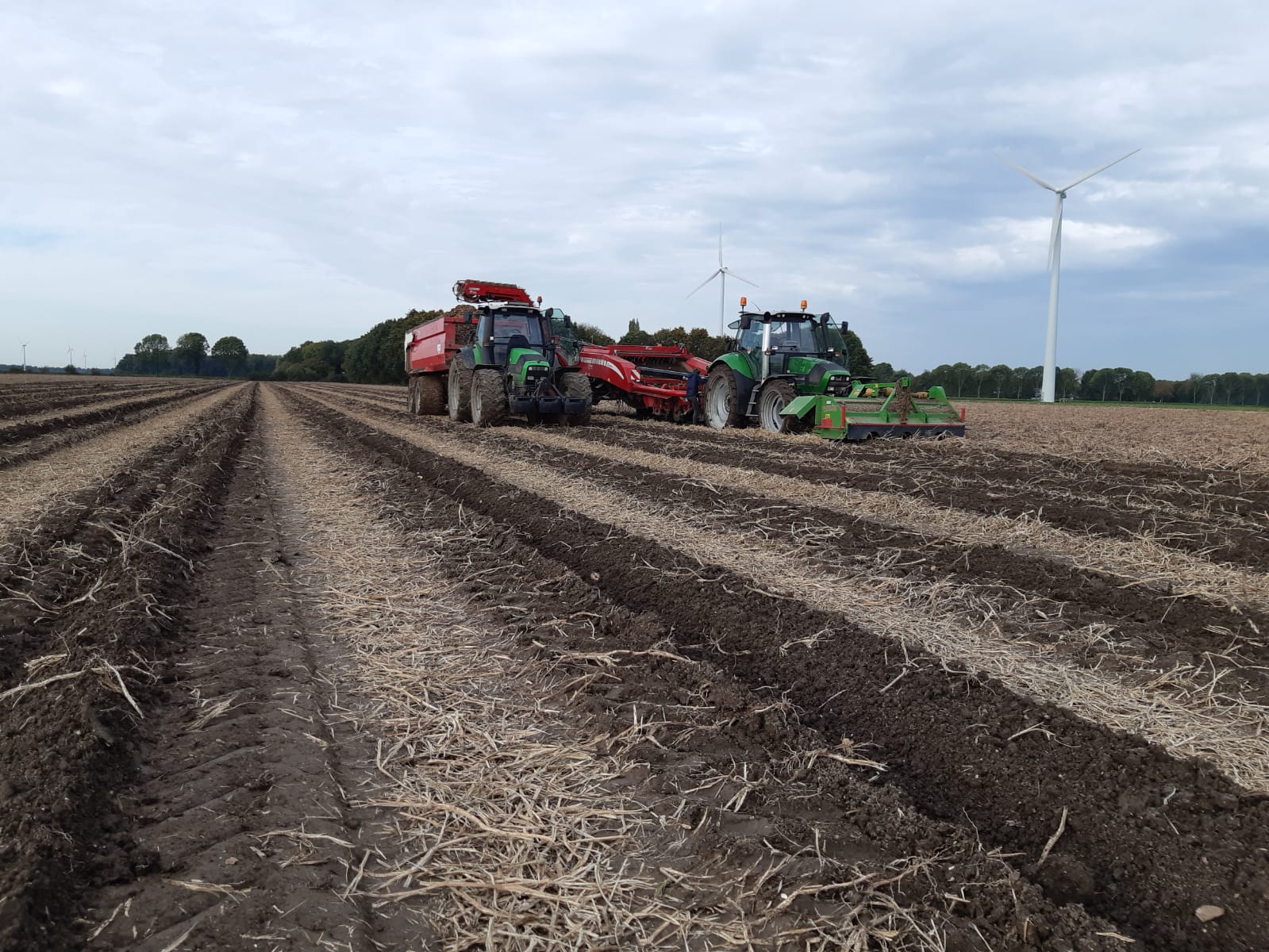 Aardappelen 2019- Akkerbouw- Zeewolde