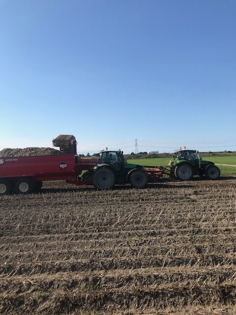 Aardappelen 2019- Akkerbouw- Zeewolde