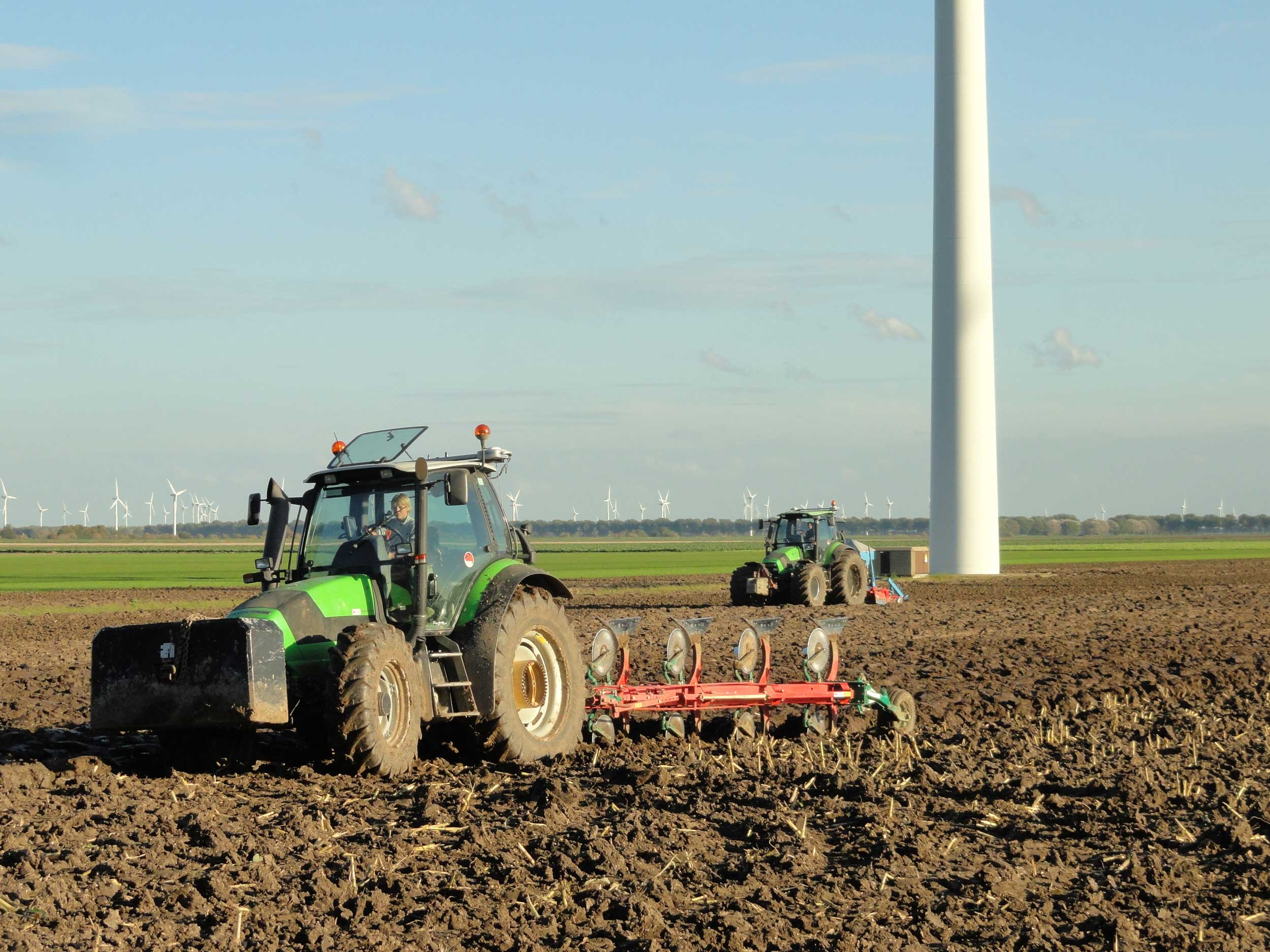 Uienteelt 2019- Akkerbouw- Zeewolde