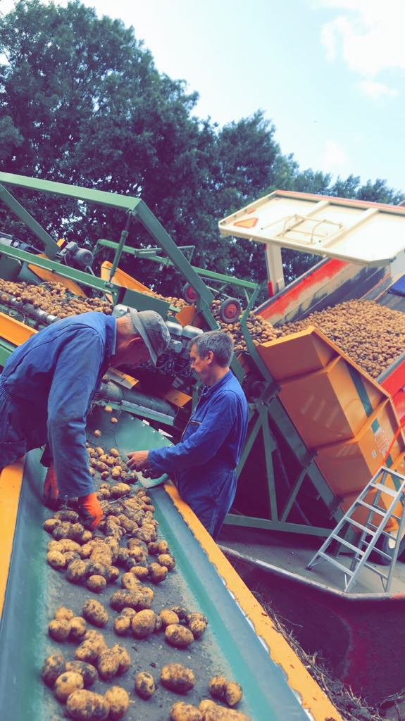 Aardappelen 2019- Akkerbouw- Zeewolde