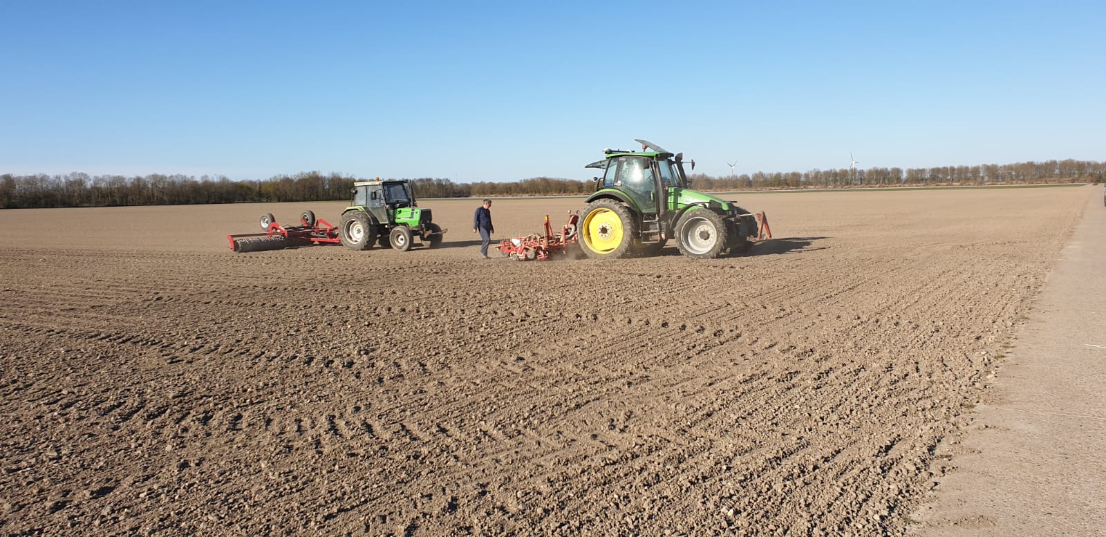 Aardappelen 2019- Akkerbouw- Zeewolde