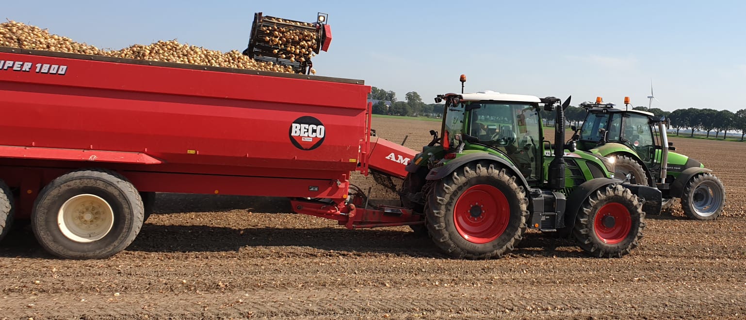 Aardappelen 2019- Akkerbouw- Zeewolde